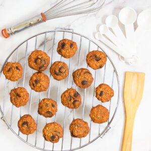 Dark Chocolate Chip and Sea Salt